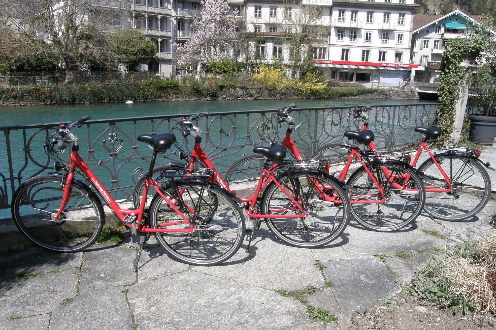 Alplodge Interlaken Zewnętrze zdjęcie